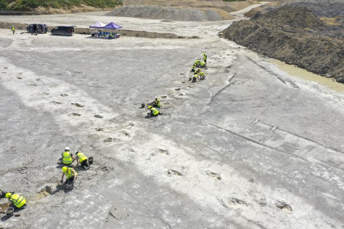 Hallan “autopista” de dinosaurios en Reino Unido