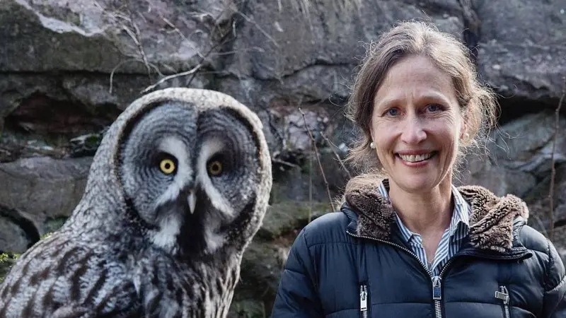 Qué hace que los búhos sean unas aves tan formidables (según una experta que los conoce bien)