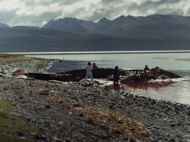 El cineasta chileno premiado en Róterdam y su filme que incluye imágenes de los selknam