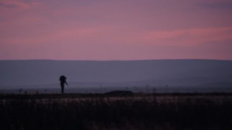 Chileno premiado en Berlinale por docu sobre migración buscó "perspectiva íntima, sensorial"