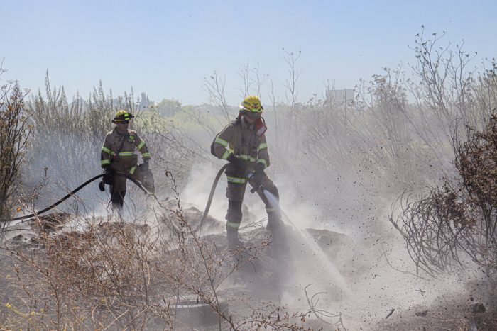 Senapred emite alerta SAE para evacuar sector rural en comuna de Santo Domingo por incendio forestal