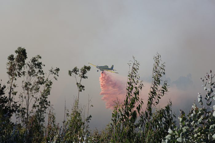 Ministra Tohá reporta de 19 incendios activos: 51 aeronaves estarán desplegadas en La Araucanía