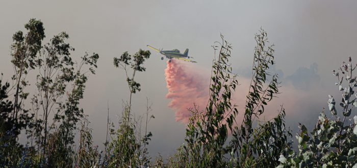 Ministra Tohá reporta de 19 incendios activos: 51 aeronaves estarán desplegadas en La Araucanía