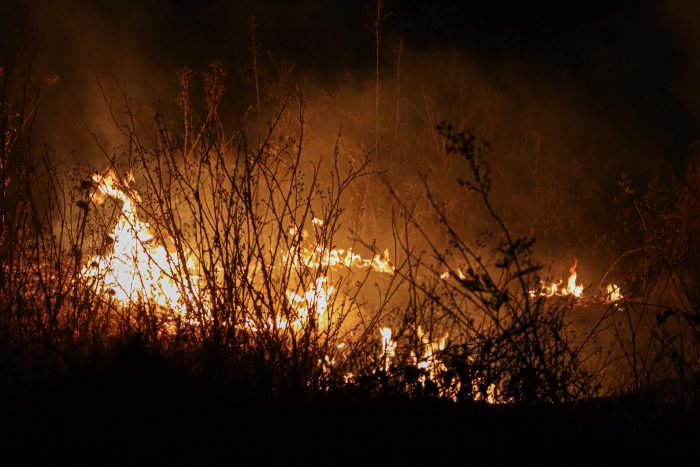 Incendios superan 11 mil ha. de superficie: Gobierno busca agilizar apoyo y denuncia intencionalidad