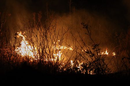 Balance de incendios forestales: toque de queda se mantiene en La Araucanía y hay 14 detenidos