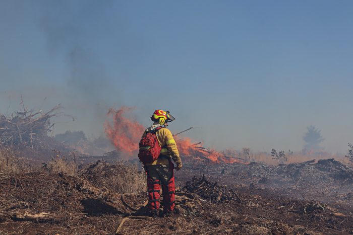 Jugar con fuego sale caro: prisión preventiva para dos bomberos acusados de incendios forestales