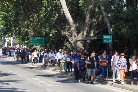 Suspenden tercera noche del Festival de Viña 2025 por masivo corte de luz