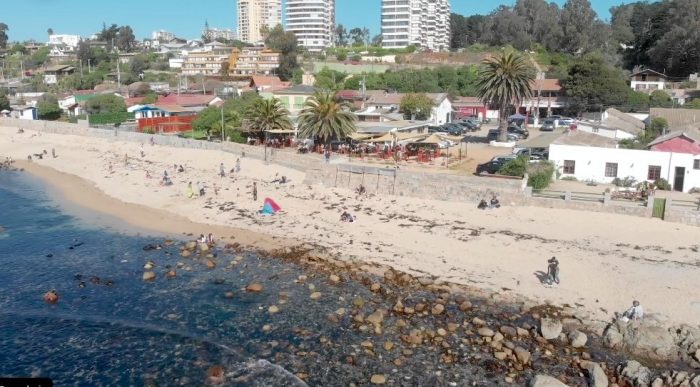 Algarrobo homenajea a los pingüinos de Humboldt de su comuna e inaugura nuevo punto turístico