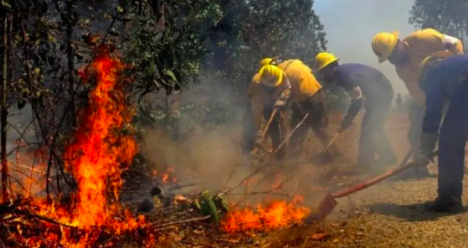 Nuevo balance: Senapred reporta 15 incendios activos y refuerza alertas por calor extremo