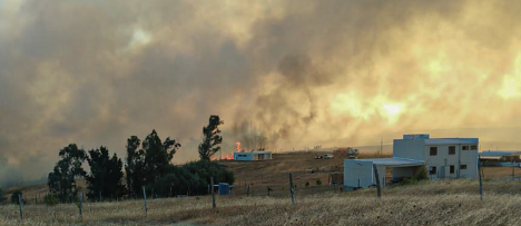 Balance: Senapred registra 22 incendios forestales en combate a nivel país