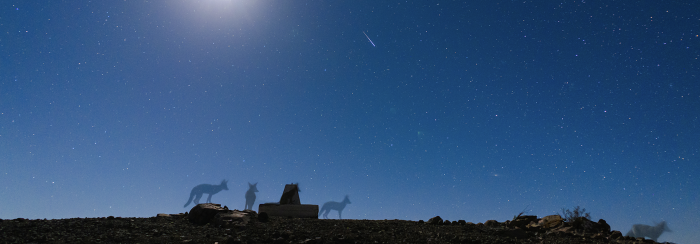 Documental “Arriba de las estrellas”