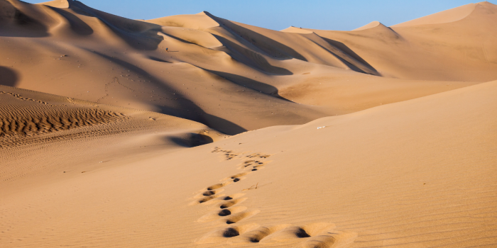 Atacama se consolida como destino clave para el turismo deportivo y de aventura en Chile