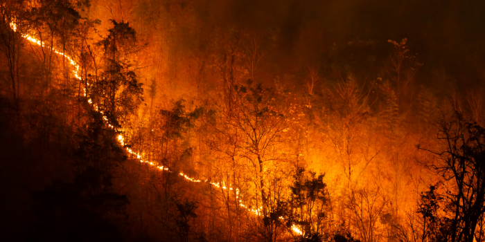 Cell2Fire: la tecnología que ayuda a prevenir y gestionar incendios forestales en Chile