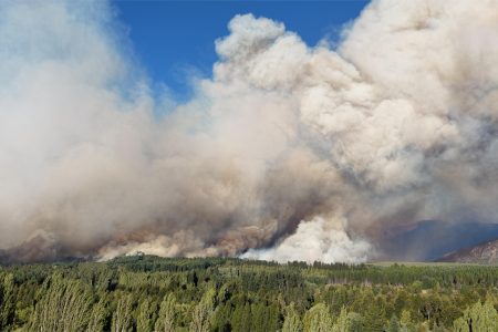 Gobierno de Milei acusa de “terrorismo” a presuntos responsables de incendios en la Patagonia