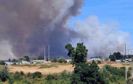 Senapred pide evacuación de sector Polún en Pitrufquen tras reactivación de incendio forestal