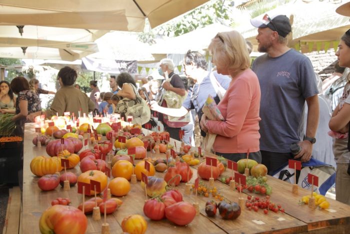 Vuelve el Día del Tomate: una fiesta para celebrar su sabor y diversidad