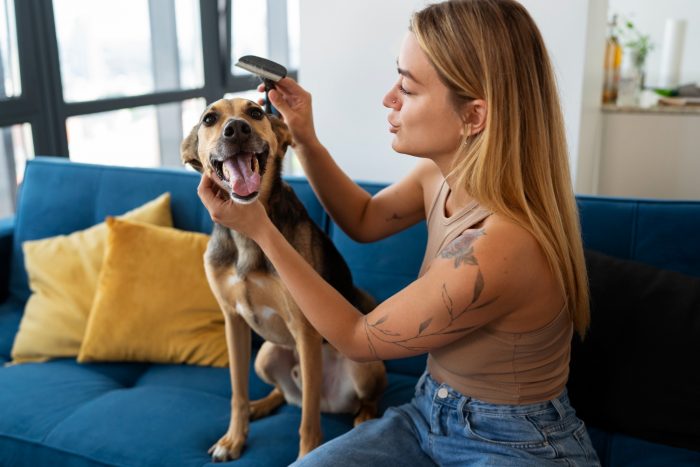 Importancia de proteger a las mascotas contra parásitos