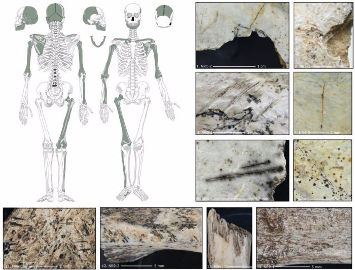 Evidencia de canibalismo hace 18.000 años en una cueva de Polonia