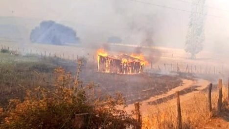 Toque de queda nocturno se aplicará a 11 comunas de La Araucanía