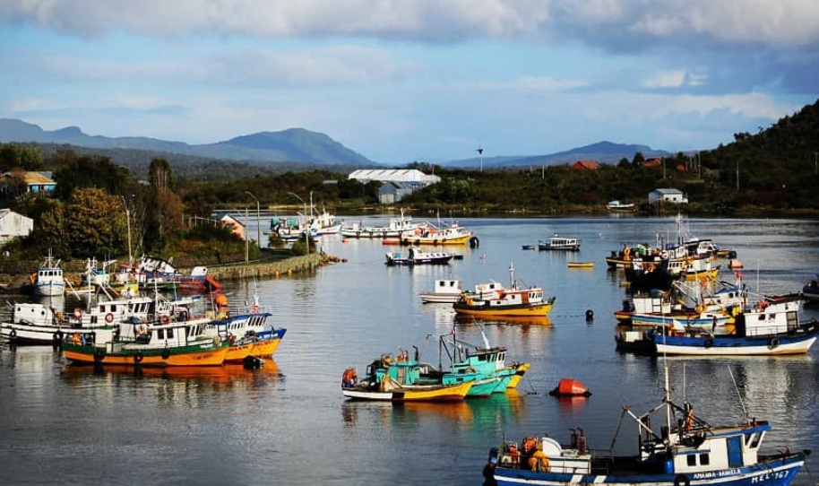 Revista británica destaca costumbres de indígenas de la Patagonia y su relación con ecosistemas