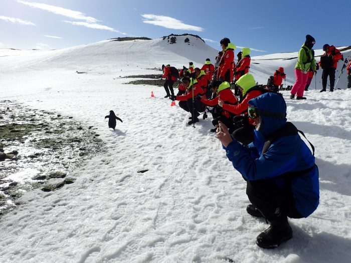 Crece la preocupación por el aumento del turismo en la Antártida, según experto