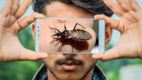 El 40% de todos los contagios por mal de Chagas se dan en Coquimbo