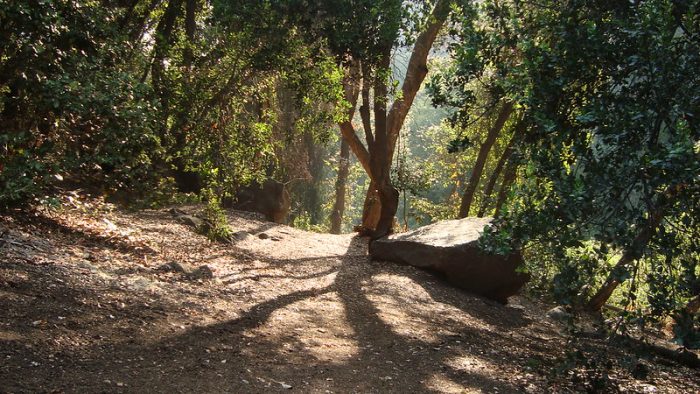 Día Mundial del Agua: red de parques metropolitanos impulsa la conservación y recarga hídrica