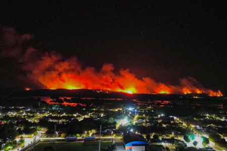 Seis comunas continúan en alerta roja por incendios en el sur del país: más de 200 ha. afectadas.