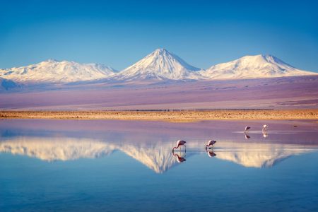 La importancia del Día Mundial de la Naturaleza: un recordatorio para la conservación