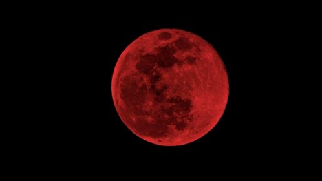 Eclipse lunar total: cuándo será visible la Luna de Sangre en marzo