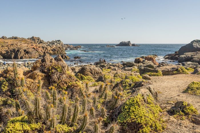 Los Vilos: naturaleza, historia y bienestar en la costa de Coquimbo