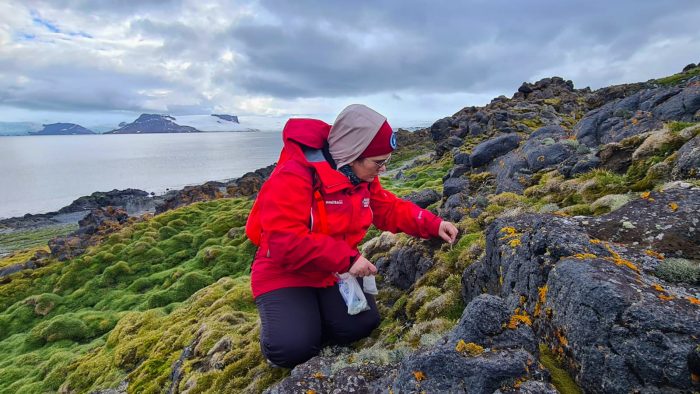 Los testimonios de mujeres investigadoras que impulsan la ciencia polar