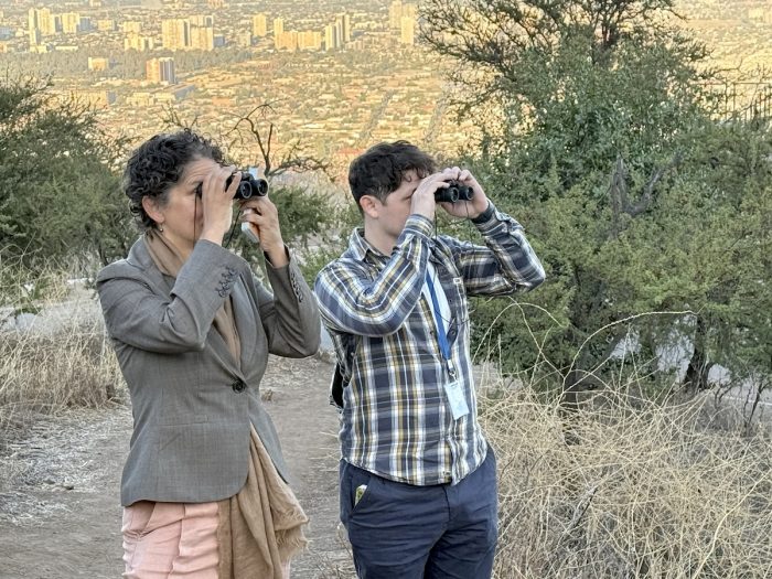 Las aves urbanas como protagonistas del pulmón verde de Santiago