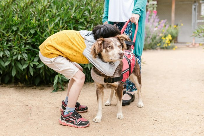Perro Guía: un apoyo clave que aún es limitado en el país