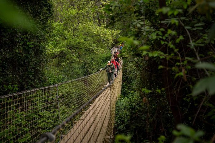 Día de los Patrimonios 2025: senderismo, ciclismo y trekking nocturno en Parque Cordillera