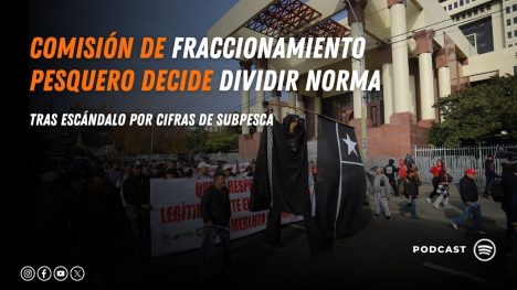 Comisión de fraccionamiento pesquero decide dividir norma tras escándalo por cifras de Subpesca