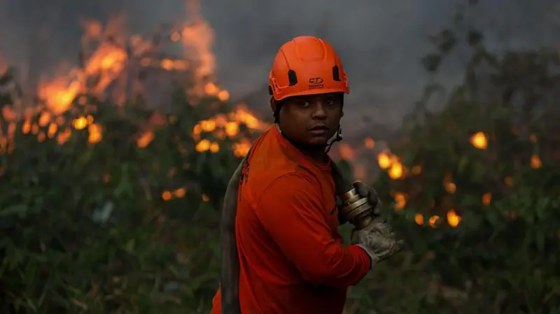 Por qué América Latina lidera la pérdida de bosques tropicales y cuáles son los países más afectados