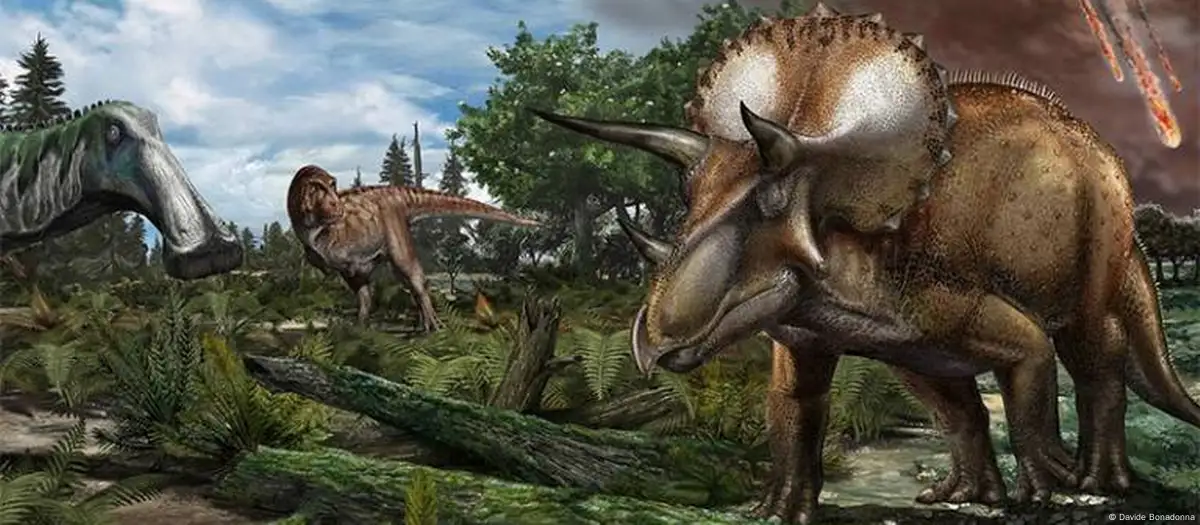 ¿Estaban los dinosaurios en declive antes de extinguirse?