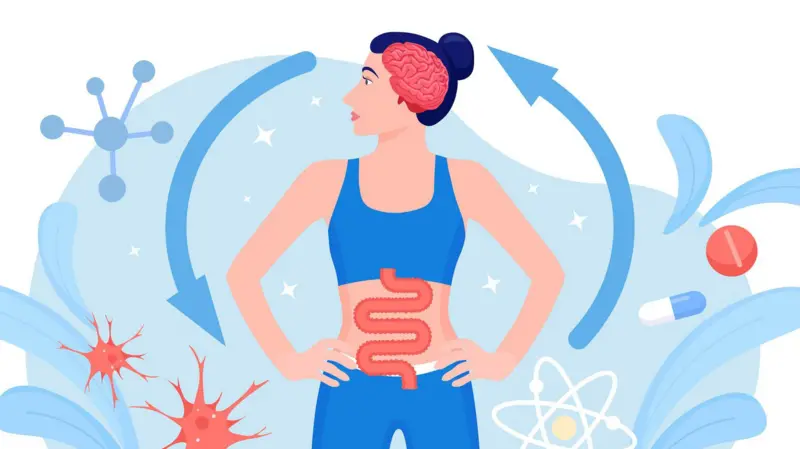 Por qué la conexión entre intestino y cerebro es clave para la salud (y cómo mejorarla)