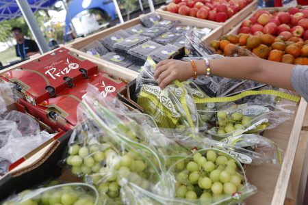 PIB de Chile sorprende al crecer 2,3% en primer trimestre del 2025