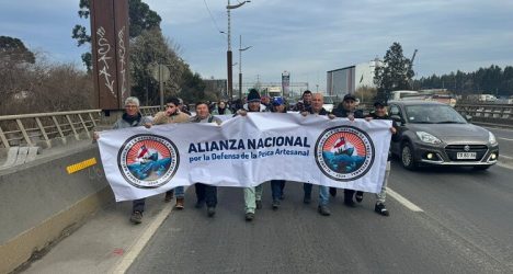 Vocero de pescadores: "No vi el llanto de PacificBlu por pérdidas de trabajo de la Ley Longueira"
