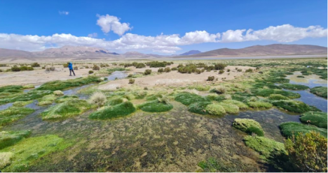 Denuncian irregularidades en fallo ambiental que sobreexplotó el acuífero Lagunillas