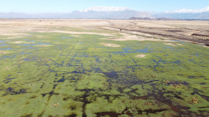 Humedal Urbano Quilicura ya está oficialmente protegido