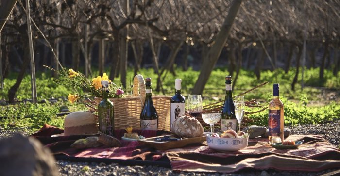 Mujer Andina Wines: elaborando vino chileno con alma femenina y arraigo territorial