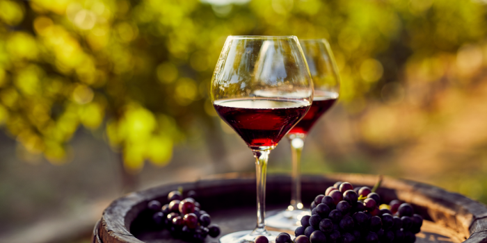 Viña chilena es reconocida como la mejor empresa de bebidas premium del mundo