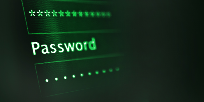 Contraseñas vulnerables y verificación biométrica: el dilema en la era digital