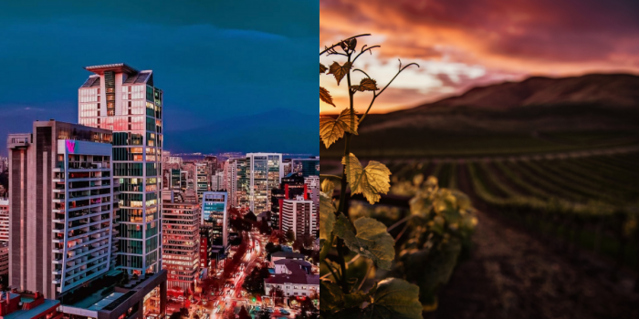 Entre viñas y descanso, Chile reinventa su experiencia hotelera con hospitalidad y turismo exclusivo