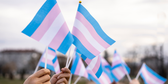 Cámara aprueba informe que recomienda suspender programa de acompañamiento a niños y niñas trans