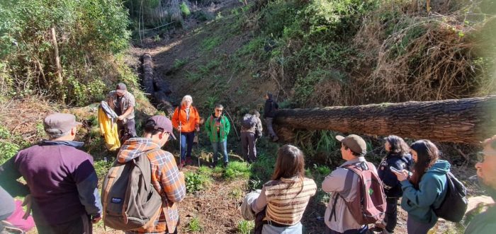 Hacia una pedagogía de esperanza: destacan experiencias de rescate y valoración de “los comunes”