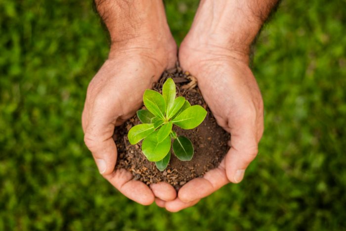 Esperanza: la energía renovable más inexplorada
